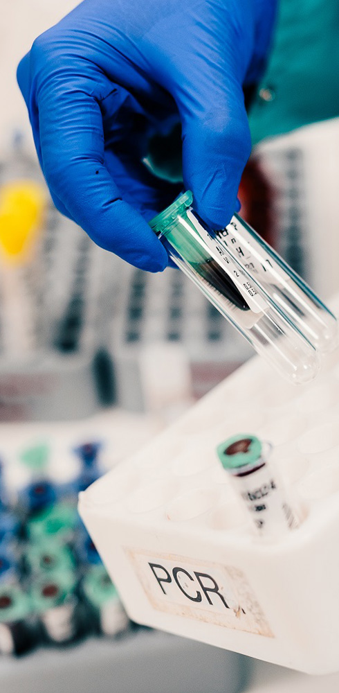 image-pcr